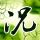 莫氏鸡煲爆火全家齐上阵